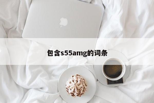 包含s55amg的詞條