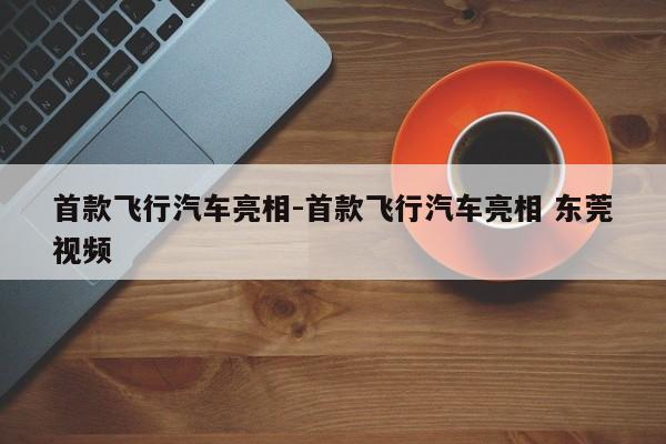 首款飛行汽車亮相-首款飛行汽車亮相 東莞視頻