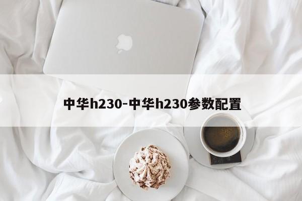 中華h230-中華h230參數(shù)配置