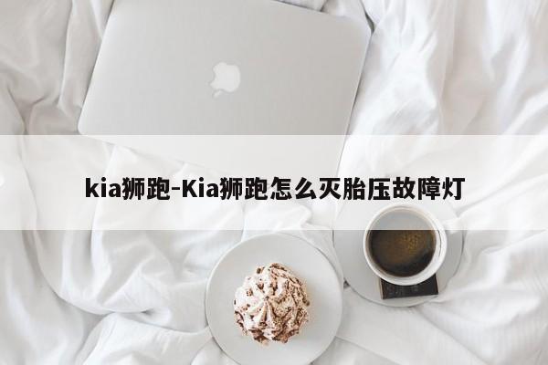 kia獅跑-Kia獅跑怎么滅胎壓故障燈