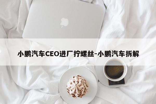 小鵬汽車CEO進(jìn)廠擰螺絲-小鵬汽車拆解