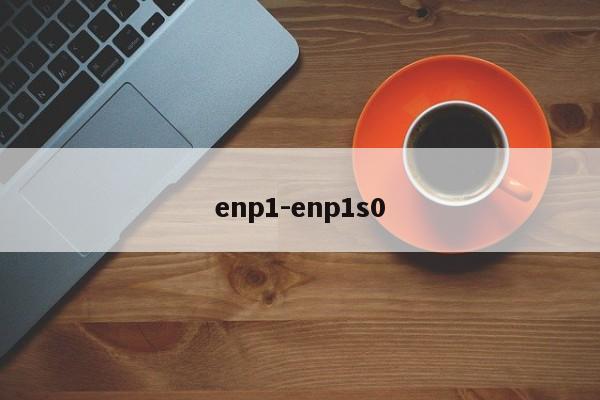 enp1-enp1s0