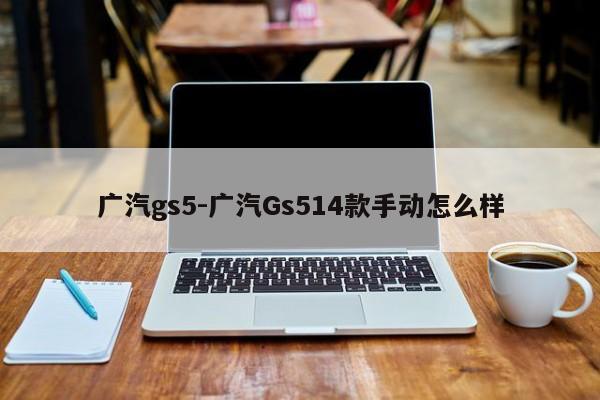 廣汽gs5-廣汽Gs514款手動怎么樣