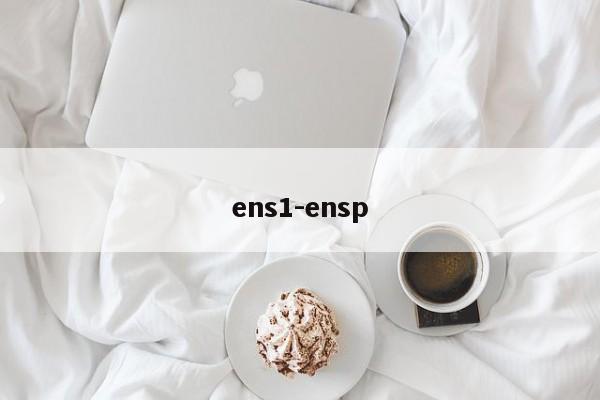 ens1-ensp