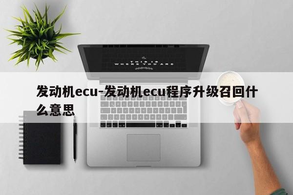 發(fā)動機ecu-發(fā)動機ecu程序升級召回什么意思