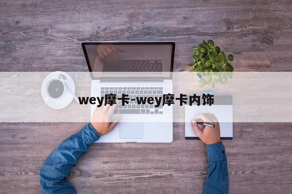 wey摩卡-wey摩卡內飾