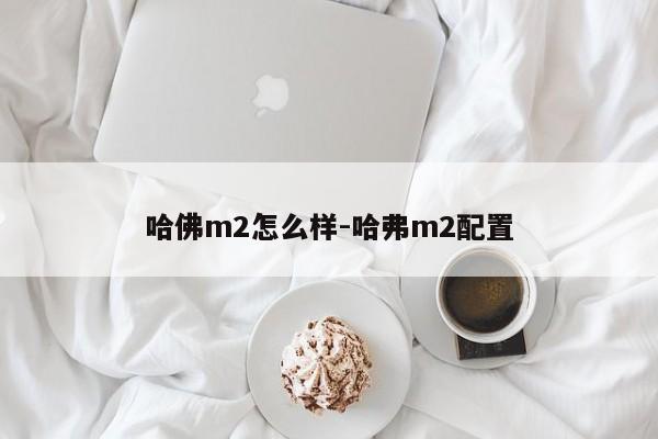 哈佛m2怎么樣-哈弗m2配置