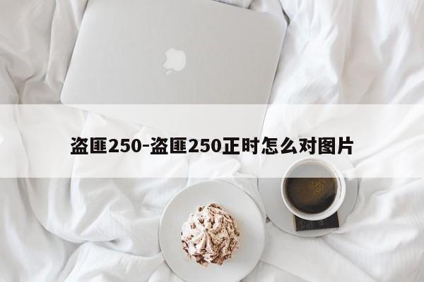 盜匪250-盜匪250正時怎么對圖片