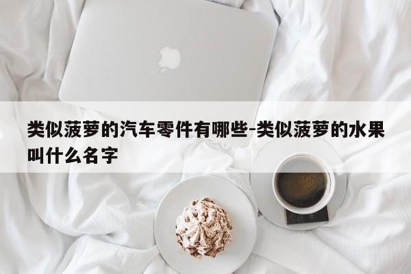 類似菠蘿的汽車零件有哪些-類似菠蘿的水果叫什么名字