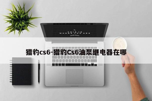 獵豹cs6-獵豹Cs6油泵繼電器在哪