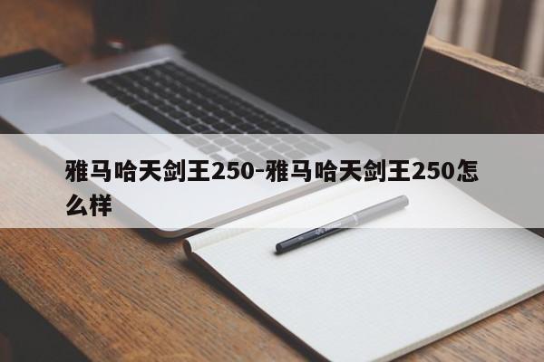 雅馬哈天劍王250-雅馬哈天劍王250怎么樣