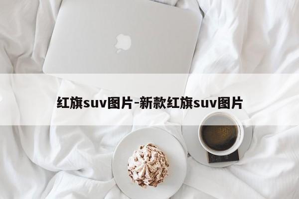 紅旗suv圖片-新款紅旗suv圖片