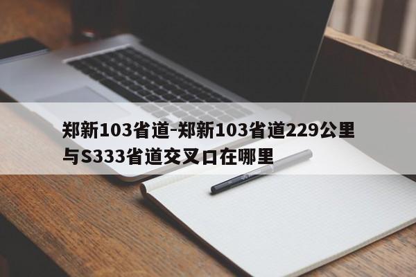 鄭新103省道-鄭新103省道229公里與S333省道交叉口在哪里