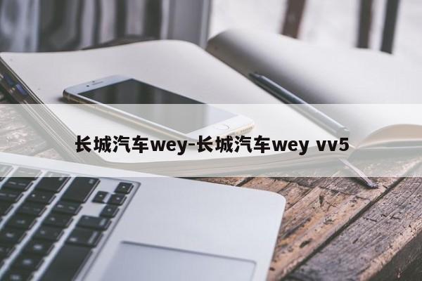 長城汽車wey-長城汽車wey vv5