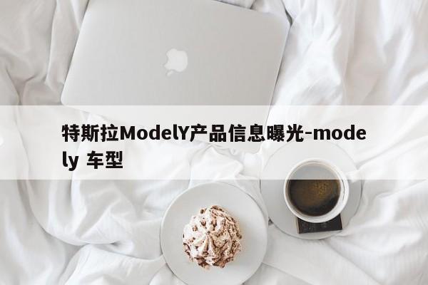 特斯拉ModelY產(chǎn)品信息曝光-modely 車型