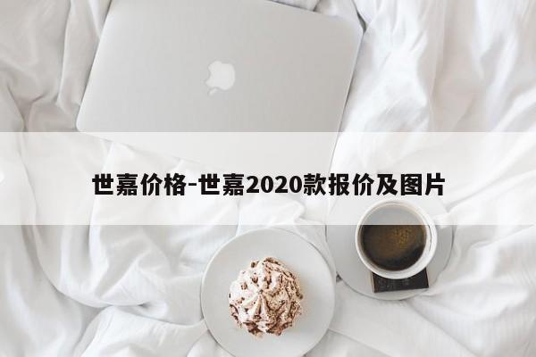 世嘉價格-世嘉2020款報價及圖片