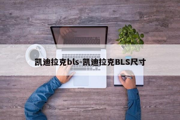 凱迪拉克bls-凱迪拉克BLS尺寸