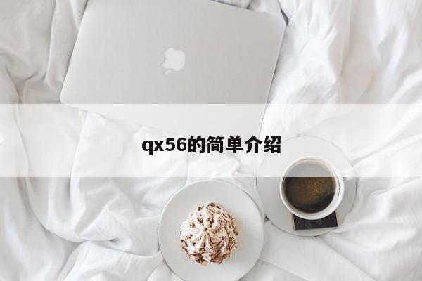 qx56的簡單介紹