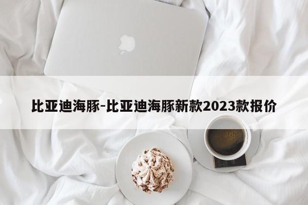 比亞迪海豚-比亞迪海豚新款2023款報(bào)價(jià)