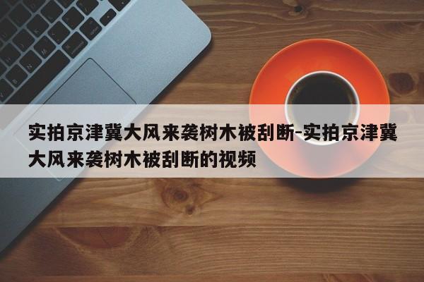 實拍京津冀大風來襲樹木被刮斷-實拍京津冀大風來襲樹木被刮斷的視頻